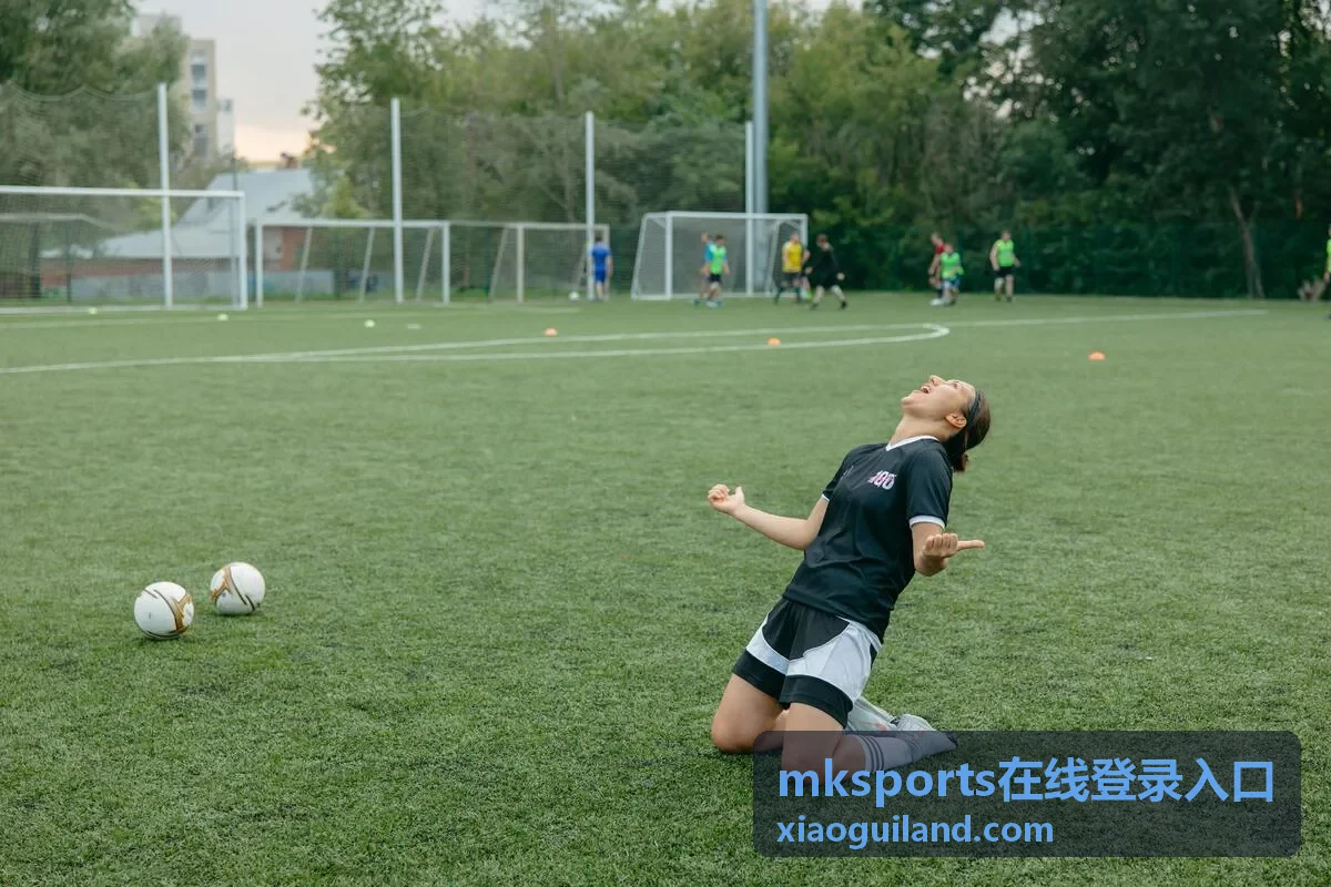 mksports在线登录入口的登录入口指南