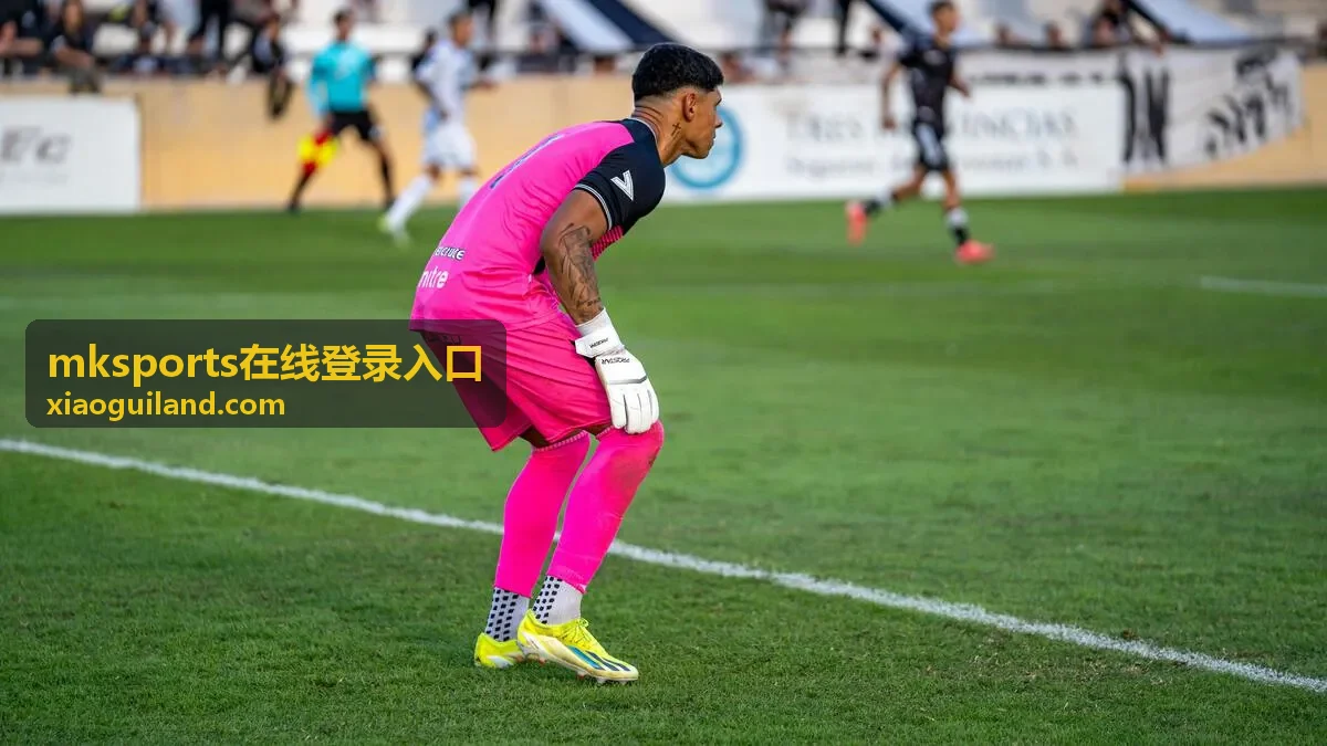 mksports在线登录入口账号安全设置与设备提醒示意